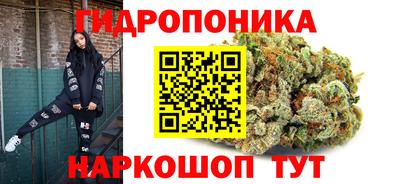 крисы Канаш