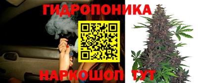 не бодяженный Камышлов