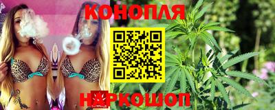 не бодяженный Камышлов