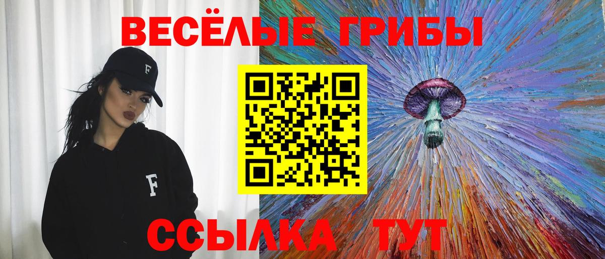 где купить наркоту  Галлюциногенные грибы мицелий  Вход с VPN  Шелехов 